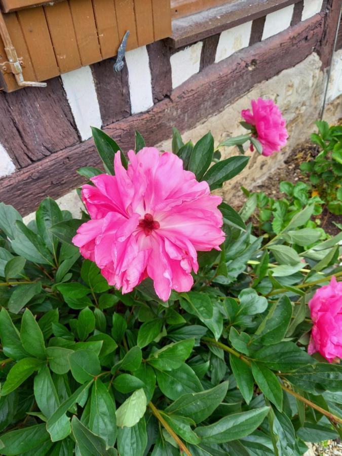 La Maison Aux Pivoines Theuville-aux-Maillots Экстерьер фото